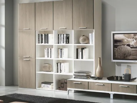Libreria Olmo Grigio e struttura Laccata Bianca di Ime Arredamenti